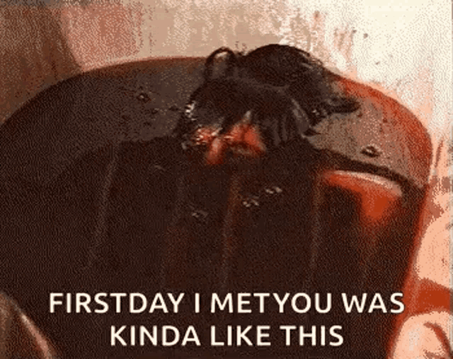 a close up of a person 's face with the words `` first day i met you was kinda like this '' written on it .