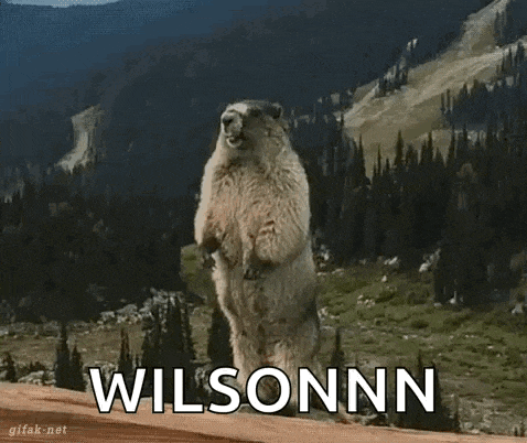 a squirrel standing on its hind legs with the word wilsonnn written on the bottom