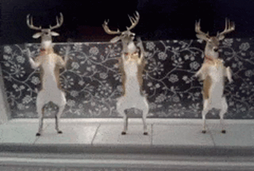 Deer Deer Dancing GIF - Deer Deer Dancing Deers GIFs