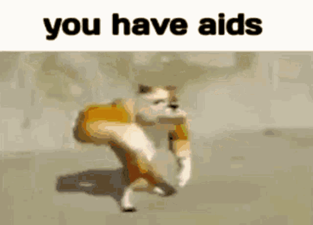 Aids You Have Aids GIF - Aids You Have Aids You Have GIFs