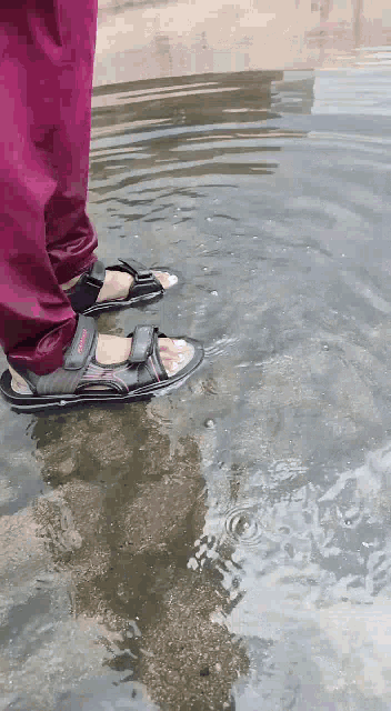 a person wearing sandals standing in a puddle