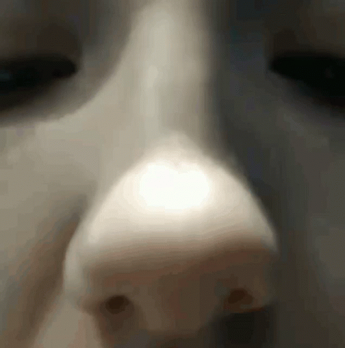 Sexy Nostril Nose GIF - Sexy Nostril Nose Breathing GIFs