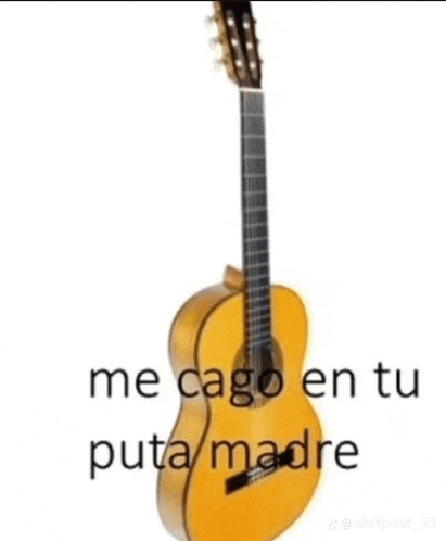 a guitar with a caption that says me cago en tu puta madre
