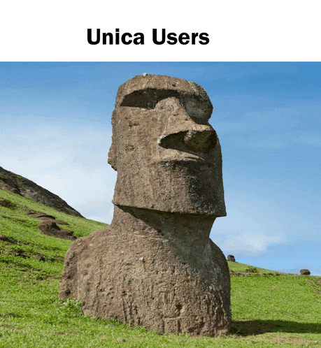 a large stone statue in a grassy field with the words unica users above it
