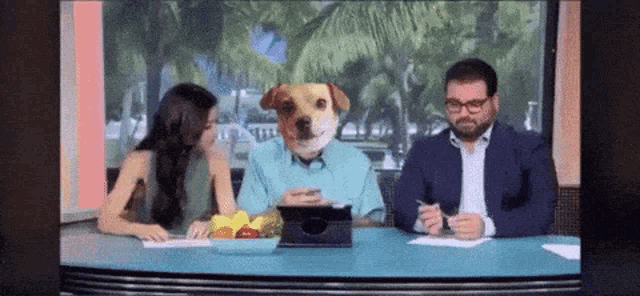 a man and a woman are sitting at a desk with a dog on their head
