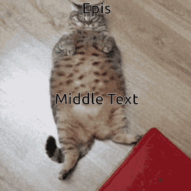 Epis Middle Text GIF - Epis Middle Text GIFs