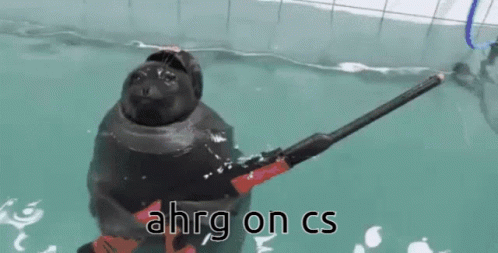 Cs Ahrg GIF - Cs Ahrg Seal GIFs