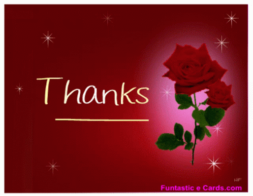 Thanks Thank You GIF - Thanks Thank You Red Rose GIFs