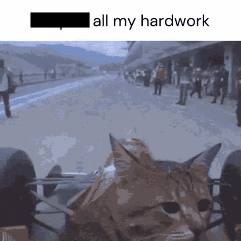 a cat is sitting on a person 's lap and the caption says all my hardwork