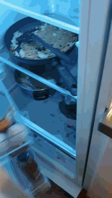 the inside of a refrigerator with a frying pan on top