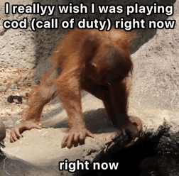 Cod I Want To Play GIF - Cod I Want To Play I Want To Play Cod GIFs