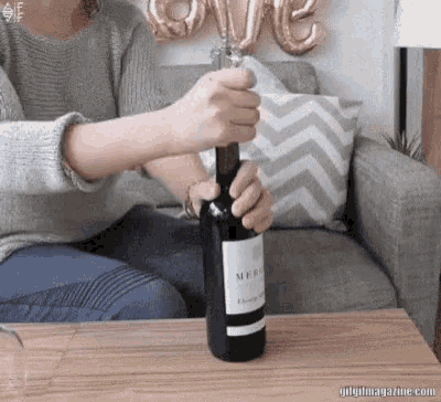 Drink Wine GIF