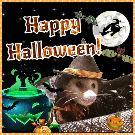 an opossum wearing a witch hat and holding a cauldron says " happy halloween "