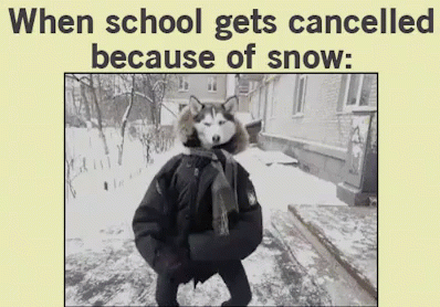 When School Is Cancelled Because Of Snow GIF - School Cancelled Snow Day When School Is Cancelled GIFs