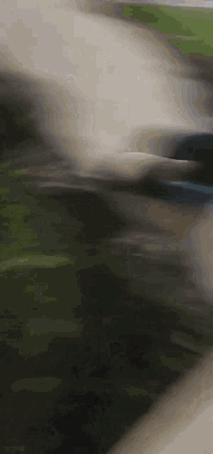 a blurry picture of a person walking on a sidewalk .
