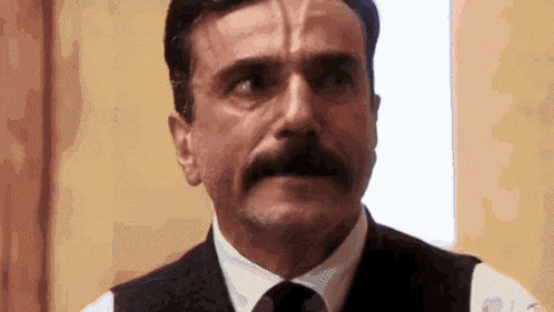 a man with a beard and mustache is wearing a vest and tie