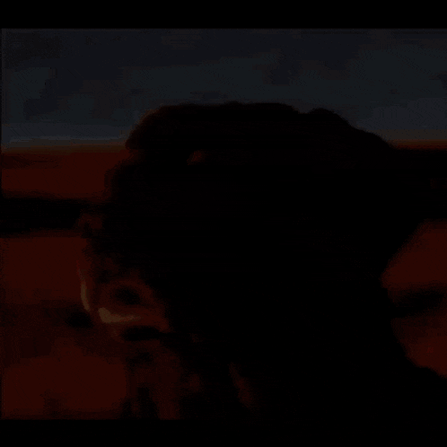 a close up of a dog 's face in a desert