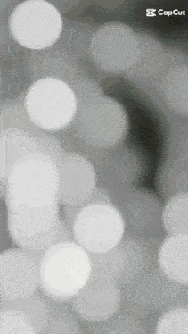 a gray background with white circles and the words capcut on the bottom