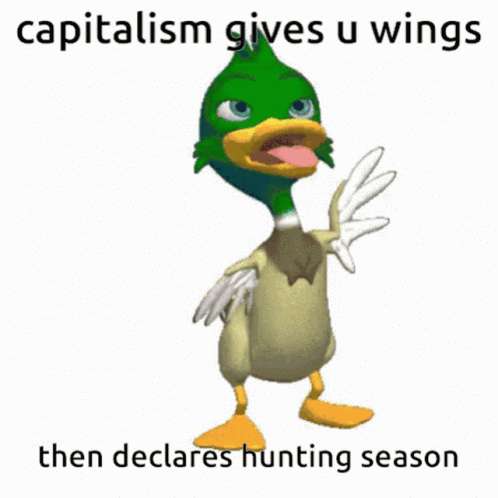 Duck Capitalism Gives You Wings GIF - Duck Capitalism Gives You Wings Hunting Season GIFs