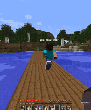a screenshot of a minecraft game with the name pipiska12r on the screen