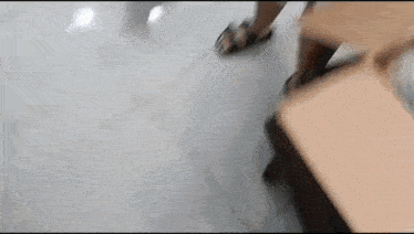 a blurry picture of a person walking on a white tile floor .