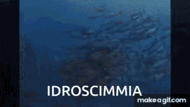 Idroscimmia Calabrese GIF - Idroscimmia Calabrese GIFs