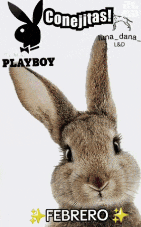 a picture of a rabbit with the words conejitas playboy february