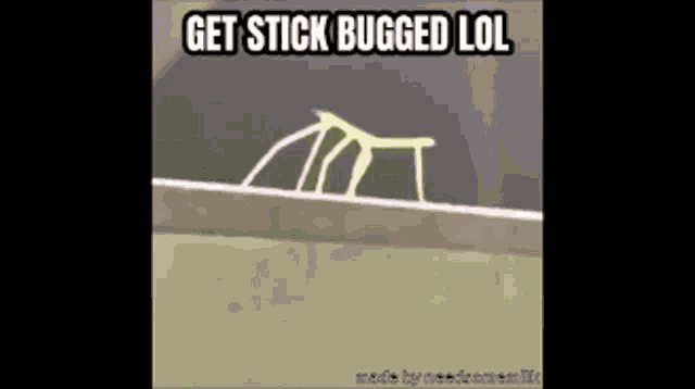 Stickbugged Lol2020 GIF - Stickbugged Lol2020 GIFs