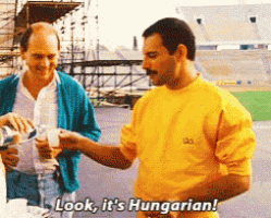 a man in a yellow shirt says " look it 's hungarian " while pouring something into another man 's glass
