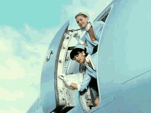 Busted Air Hostess GIF - Busted Air Hostess Airplane GIFs