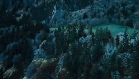 Vampires Can Climb Trees GIF - Twilight Trailer Vampire GIFs