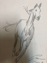a black and white drawing of a horse running on a piece of paper .