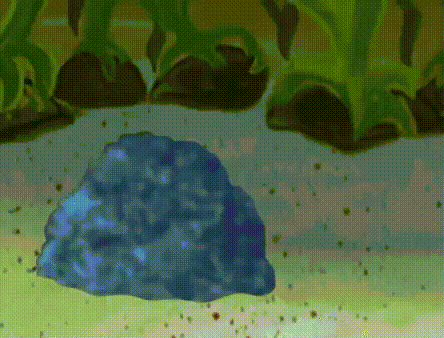 a blue rock is sitting on top of a sandy beach surrounded by seaweed .