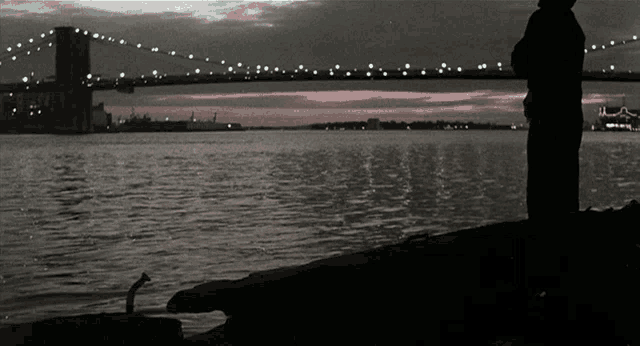 a man stands on a dock looking out over a body of water