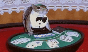 a squirrel wearing a tuxedo and bow tie is sitting at a table with cards .