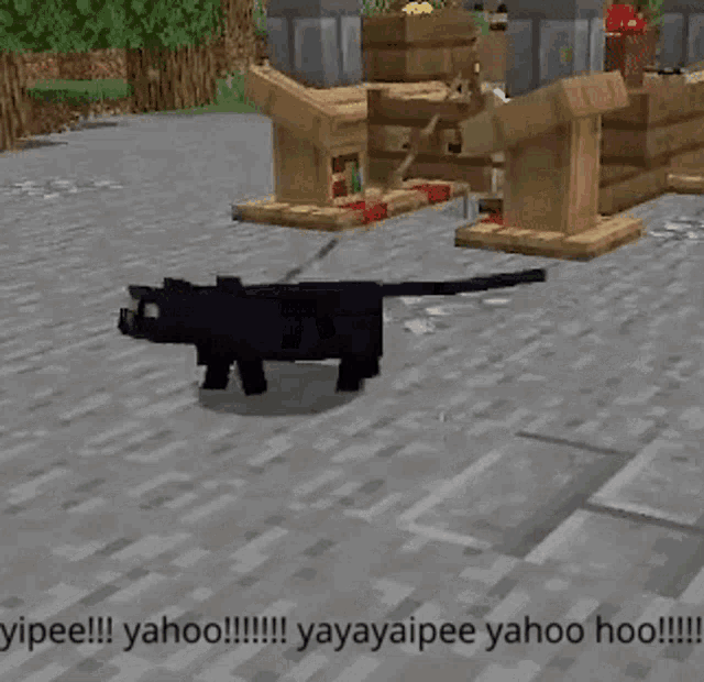 Minecraft Cat GIF - Minecraft Cat Yippee GIFs