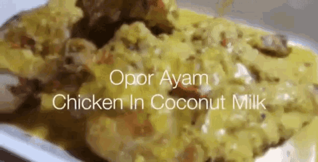 a plate of food with the words opor ayam chicken in coconut milk