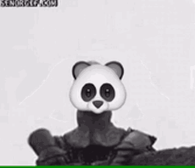 a person with a panda face on their face