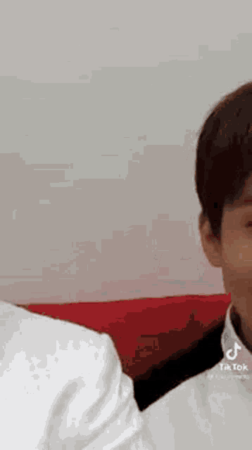 a man in a white shirt is sitting on a red couch and looking at the camera .