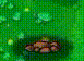 a group of sheep are standing in a grassy field .