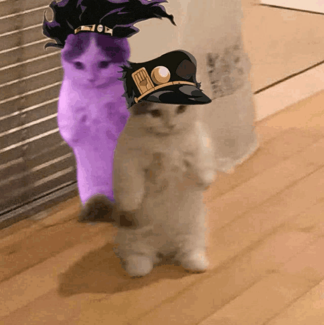 a purple cat is standing next to a white cat with a hat on it