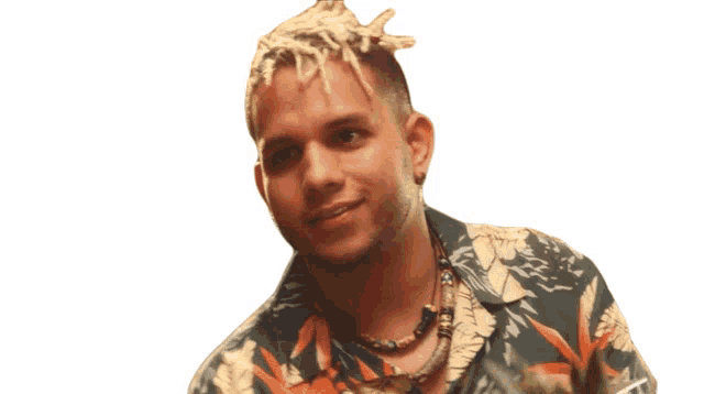 a man with dreadlocks and a floral shirt