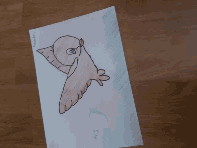 Owl Art GIF - Owl Art Drawing GIFs