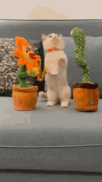 a cat playing a saxophone next to a stuffed flower and cactus