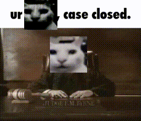 Court Cat GIF - Court Cat Uncanny Cat GIFs
