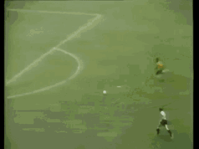 Brazil Pele GIF - Brazil Pele Dummy GIFs