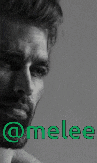 a black and white photo of a man with a beard and the name melee