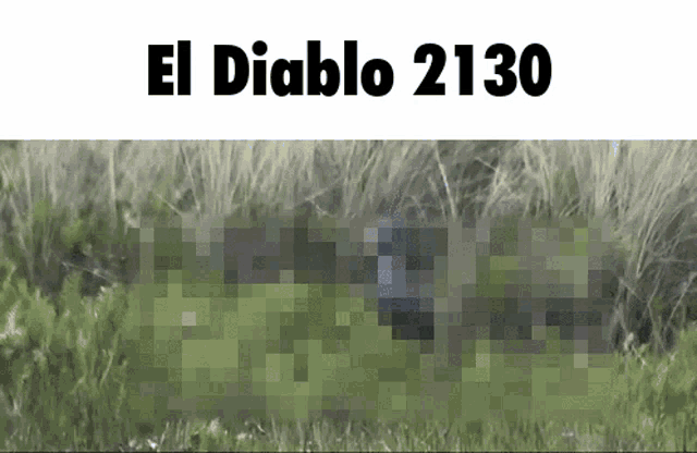 a pixelated image of a grassy field with the words el diablo 2130 above it