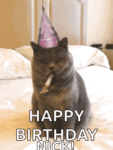 a cat wearing a party hat is sitting on a bed with a party horn in its mouth .