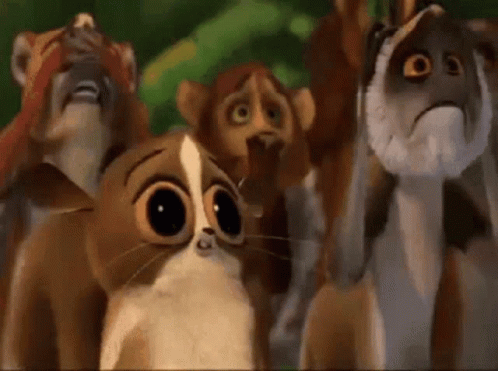 Meme Madagascar GIF - Meme Madagascar Movie GIFs